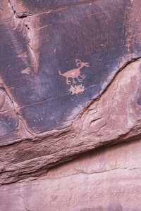 著名雕刻 Anasazi 岩画代表动物在纪念碑谷国家公园的砂岩峭壁, 犹他州, 美国