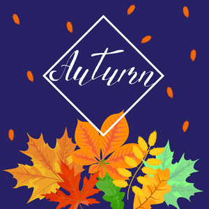 带彩色秋叶的框架, 为明亮的, 季节性的设计, 矢量插图