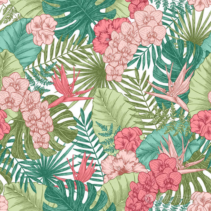无缝模式.植物园壁纸.矢量插图插画-0