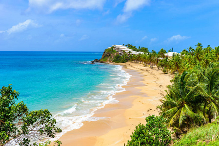 位于热带加勒比海岛安提瓜莫里斯湾的天堂海滩