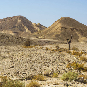 以色列南方沙漠的落基山脉。在以色列南部的岩石形成惊人的景观。被 wadis 和深陨石坑打断的尘土飞扬的山脉