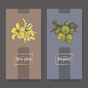 两个优雅标签与依兰和佛手柑花束颜色素描