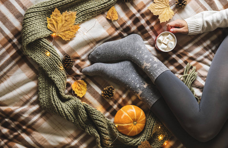 妇女手和脚在毛衣和羊毛舒适的灰色袜子拿着一杯热咖啡与棉花糖, 坐在格子与南瓜, 针织围巾, 叶子。概念冬天舒适, 早晨饮用