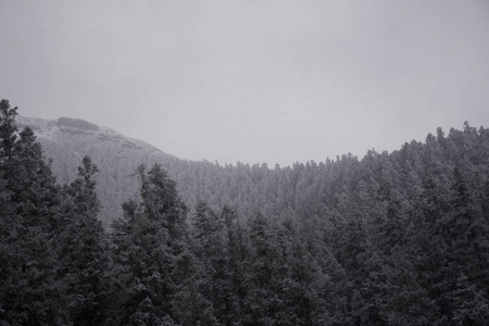 天空下有雪的山