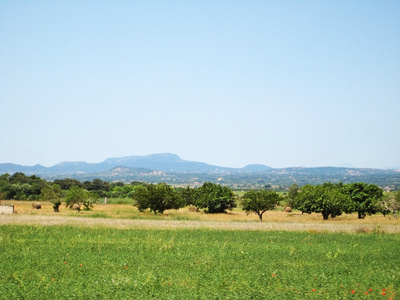 内陆地区的马略卡岛，巴利阿里群岛