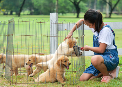 小亚洲女孩玩一个可爱的金色猎犬狗在公园里