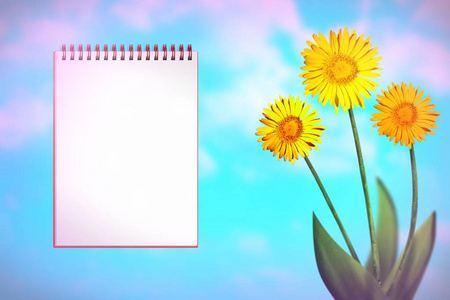 美丽的生活雏菊或甘菊在晴天与笔记本空白的地方为您的内容在多云的天空背景