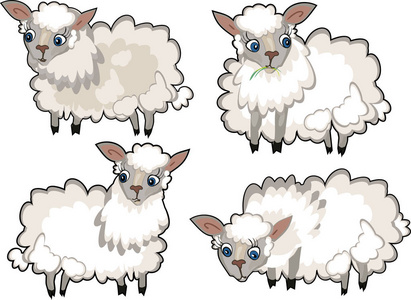 一套可爱的卡通绵羊与卷曲的羊毛白色背景