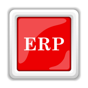 erp 图标