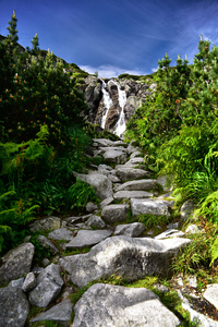 景观的瀑布 Siklawa 在上塔特拉山