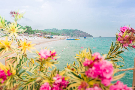 抽象背景与花在前景和蓝色海, 山在背景