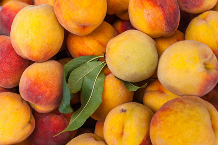 新鲜桃子在农场市场上