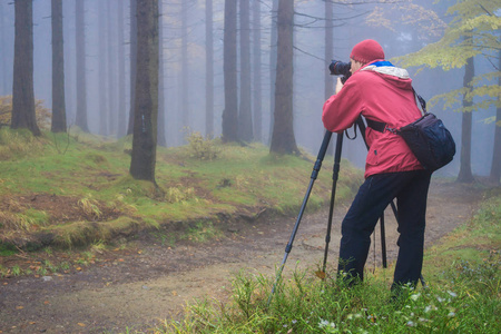 Photograprer 与三脚架在捷克共和国的黑暗魔法森林在秋天