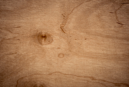 白桦木材表面的背景