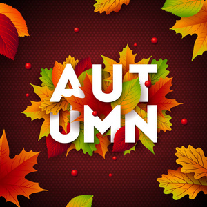 秋天例证以下落的叶子和文字在暗红色背景。秋季矢量设计贺卡, 横幅, 传单, 邀请, 小册子或宣传海报