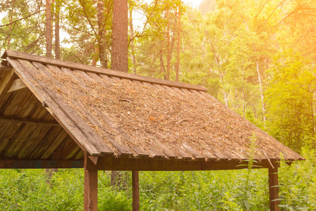 一个木质屋顶的特写, 矗立在绿树成荫的绿色森林里, 秋天洒满了落叶的云杉针。