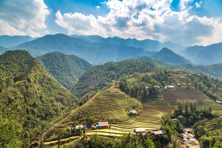 夏季越南老蔡沙萨梯田全景