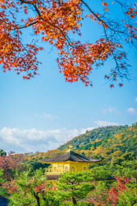 金阁在日本京都的金阁寺