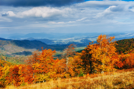 在秋高气爽的季节喀尔巴阡山脉