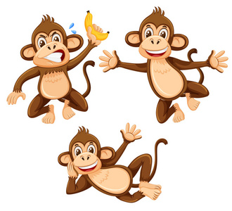 一组白色背景插图的猴子
