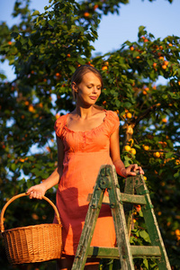 挺漂亮的年轻女人摘杏子点燃温暖的夏天的晚上