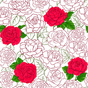 带红色玫瑰的无缝图案, 背景在白色 ba 上被隔离