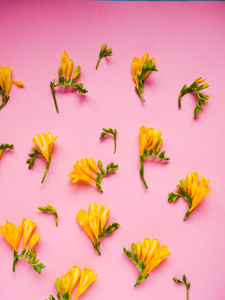 花图案的黄花, 在粉红色的背景, 花纹花