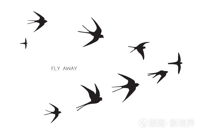 群的鸟类剪影燕子插画-正版商用图片0s8vax-摄图新视界
