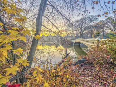 弓桥是铸铁位于纽约中央公园，城市，跨越湖