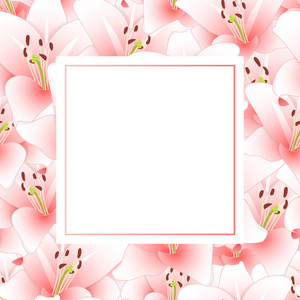 粉红色百合花横幅卡片. 矢量插图