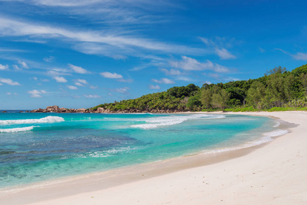 沙滩与棕榈和绿松石海在天堂岛。暑假和旅行概念