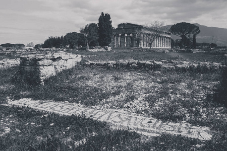 Paestum 的考古遗迹意大利了解文化和旅游业的概念