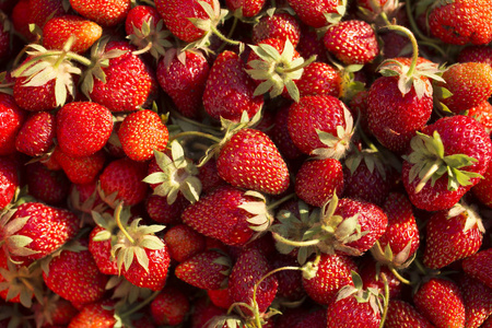 成熟的草莓。很多成熟的浆果。美味的素食甜点