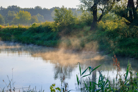 阳光明媚的夏日清晨, 水面上笼罩着雾气。河风景