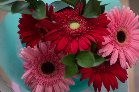 彩色背景上的粉红色和红色 gerberas 的花束