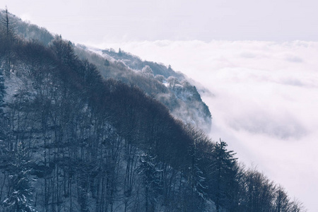 从冬日的迷雾中浮现出来的高山