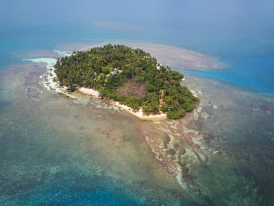 小绿珊瑚岛