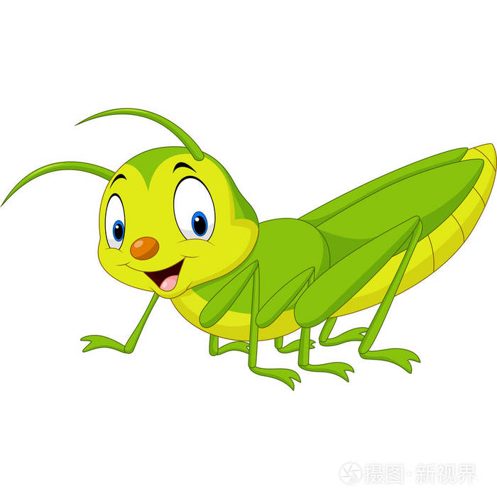 卡通快乐蚱蜢的矢量图解