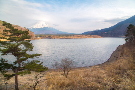 湖商事和山富士