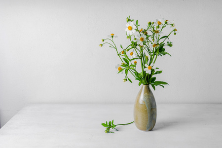 野生花卉在白色背景上的花瓶
