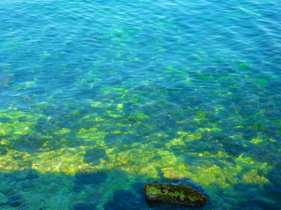 具有岩石和海藻的透明石海海岸