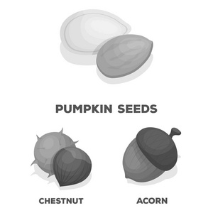 不同种类的坚果单色图标集合中的设计。坚果食物矢量符号库存 web 插图