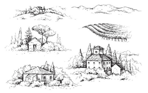 手绘制的乡村场景与房子, 葡萄园和树木的片断。单色田园风光插画。矢量草图