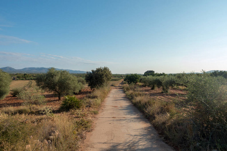 在西班牙 Castellon 的圣地亚哥和通过奥古斯塔的路