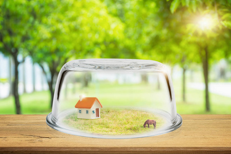 财产保险概念, 木地板上的玻璃圆顶玩具屋。盾构保护性能与背景下的自然模糊