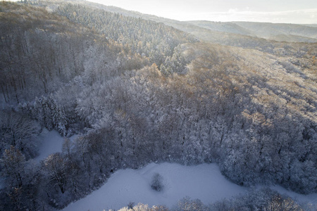 阳光明媚的冬日白雪覆盖森林的鸟瞰图