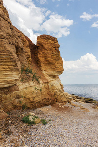 葡萄牙的烧毁森林, 靠近阿威罗。野火后死去的