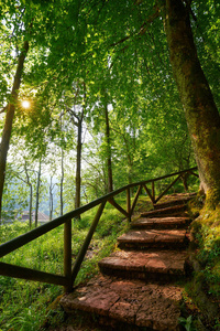 西班牙 Picos Covadonga 森林楼梯