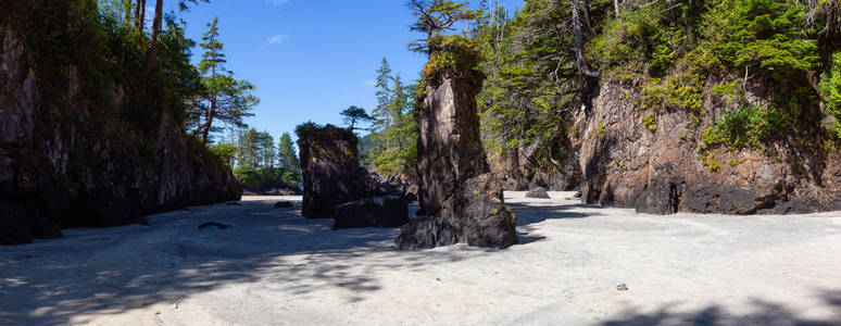 美丽的全景海景的岩石海滩在太平洋沿岸。位于加拿大不列颠哥伦比亚省北部温哥华岛的圣约瑟夫湾, 斯科特省公园