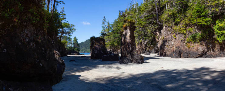 美丽的全景海景的岩石海滩在太平洋沿岸。位于加拿大不列颠哥伦比亚省北部温哥华岛的圣约瑟夫湾, 斯科特省公园